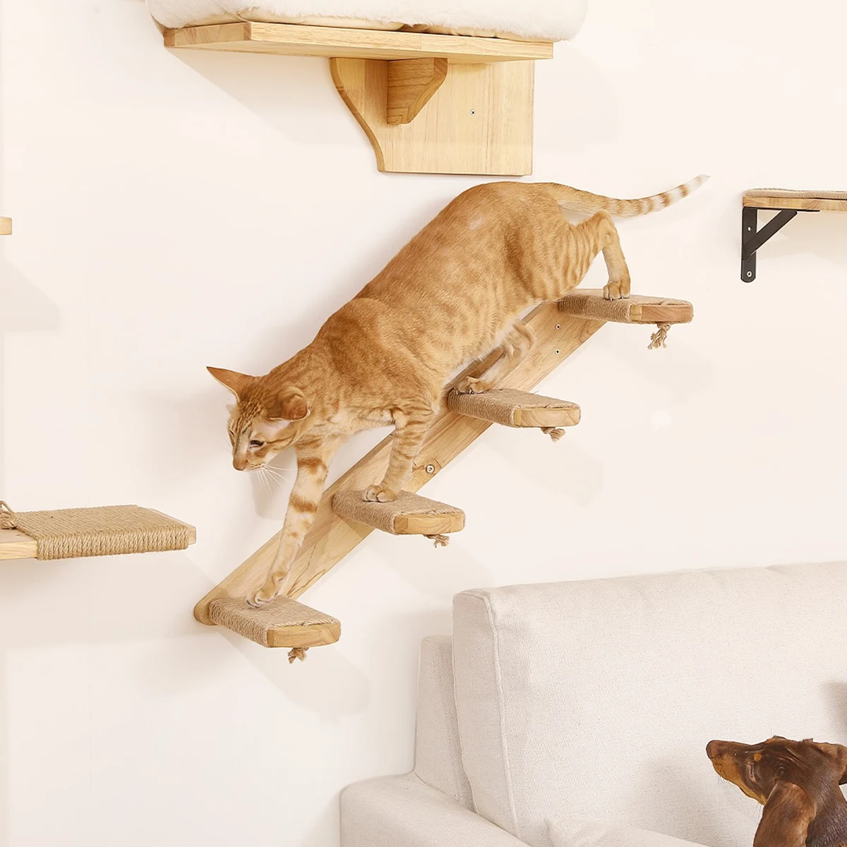 Rede de Escalada para Gatos de Madeira Maciça com Fixação na Parede - Imagem 5