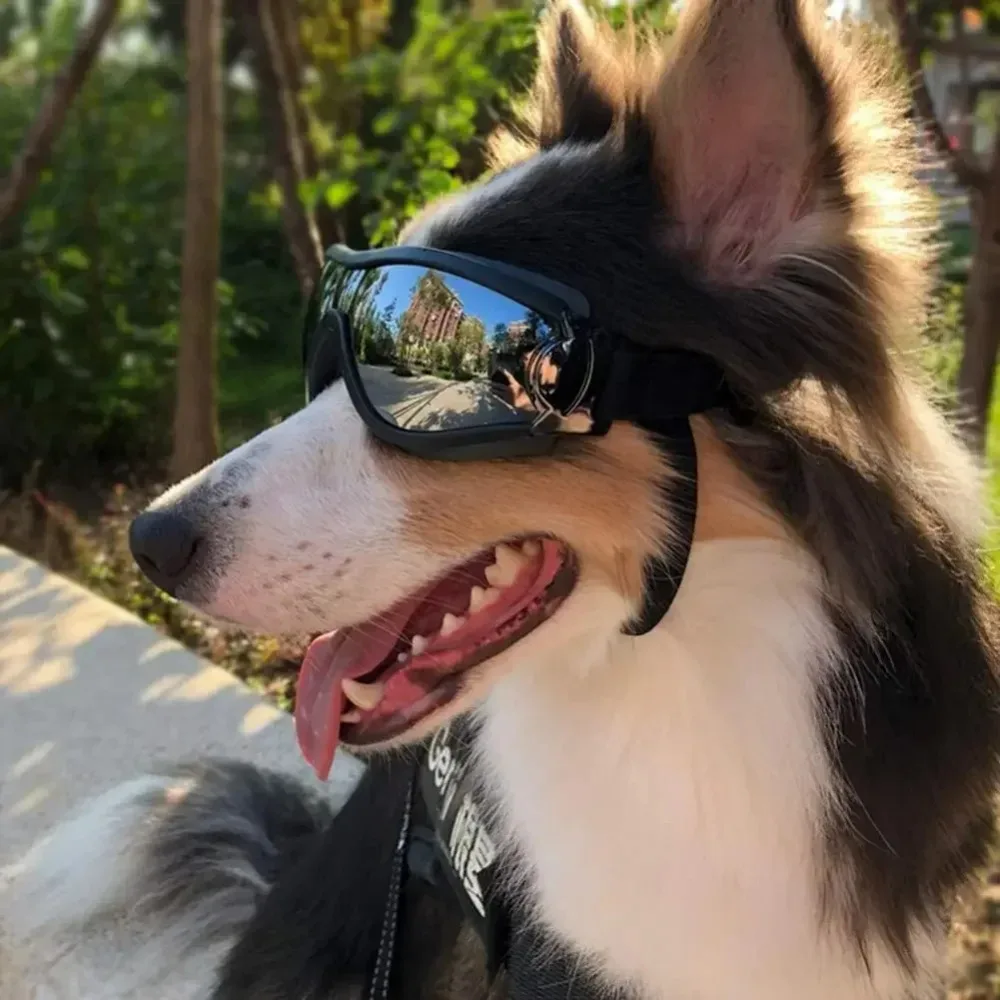 óculos de sol para cães ajustáveis