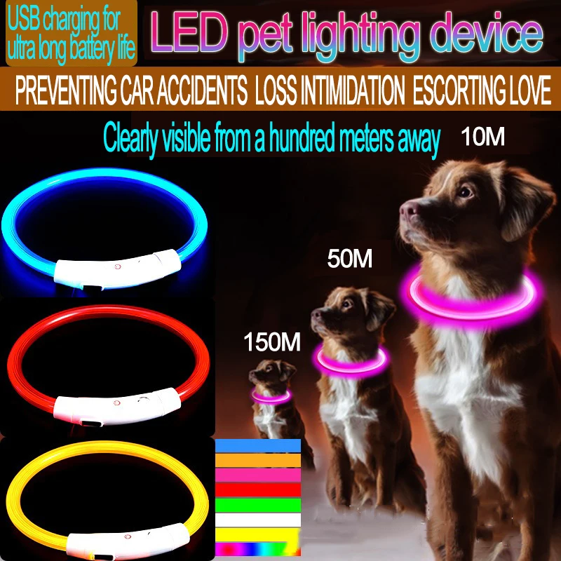 Coleira Luminosa para Cães com LED para Passeios Noturnos - Imagem 2