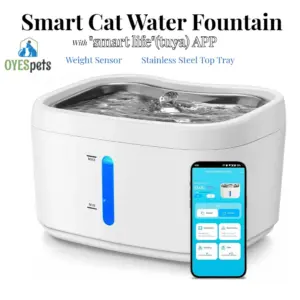fonte de água para gatos com wi-fi