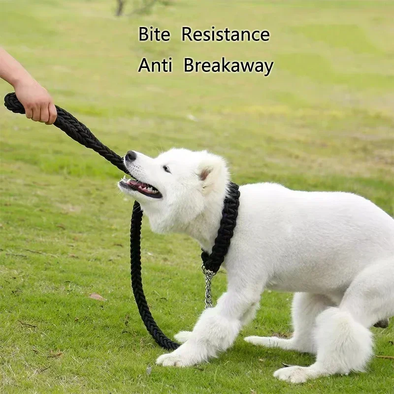 Coleira de Nylon para Cães Médios e Grandes de 130 cm para Passeio - Image 5