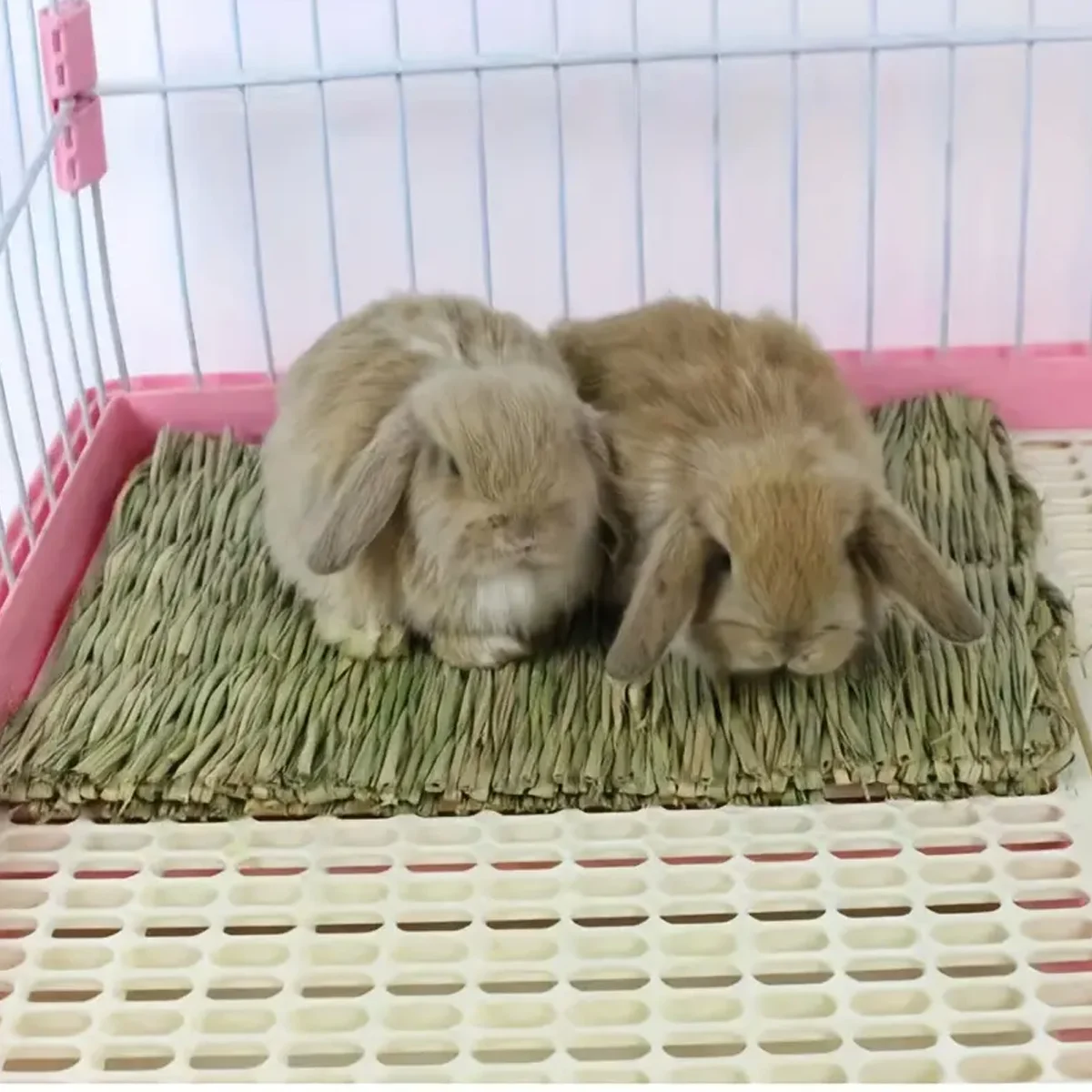 Tapete de Grama Trançada para Coelhos - Cama Natural para Gaiola - Imagem 3
