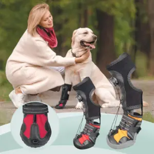cinta corretiva para cães