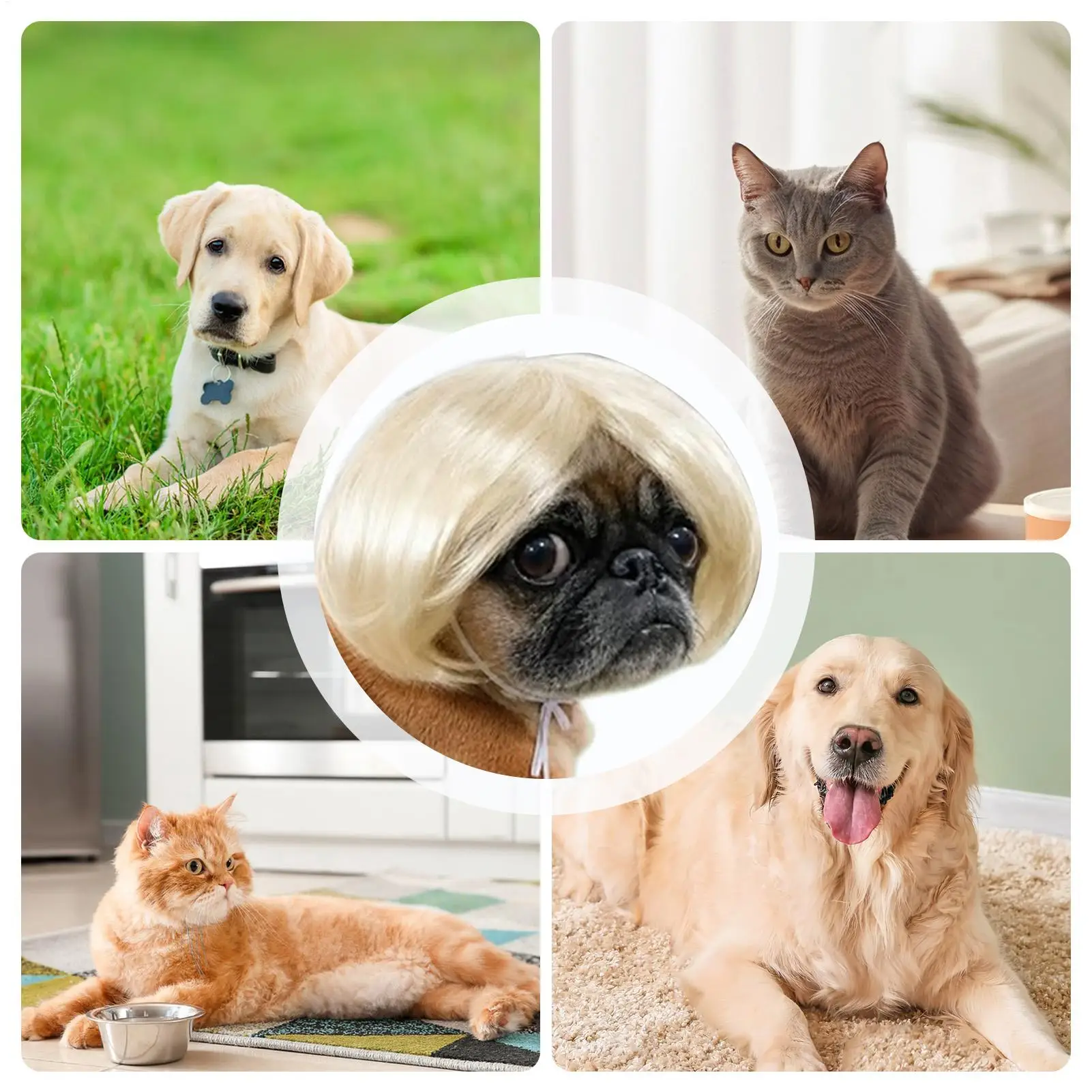 Peruca para Cães e Gatos Estilo Bob com Ajuste Flexível - Image 6