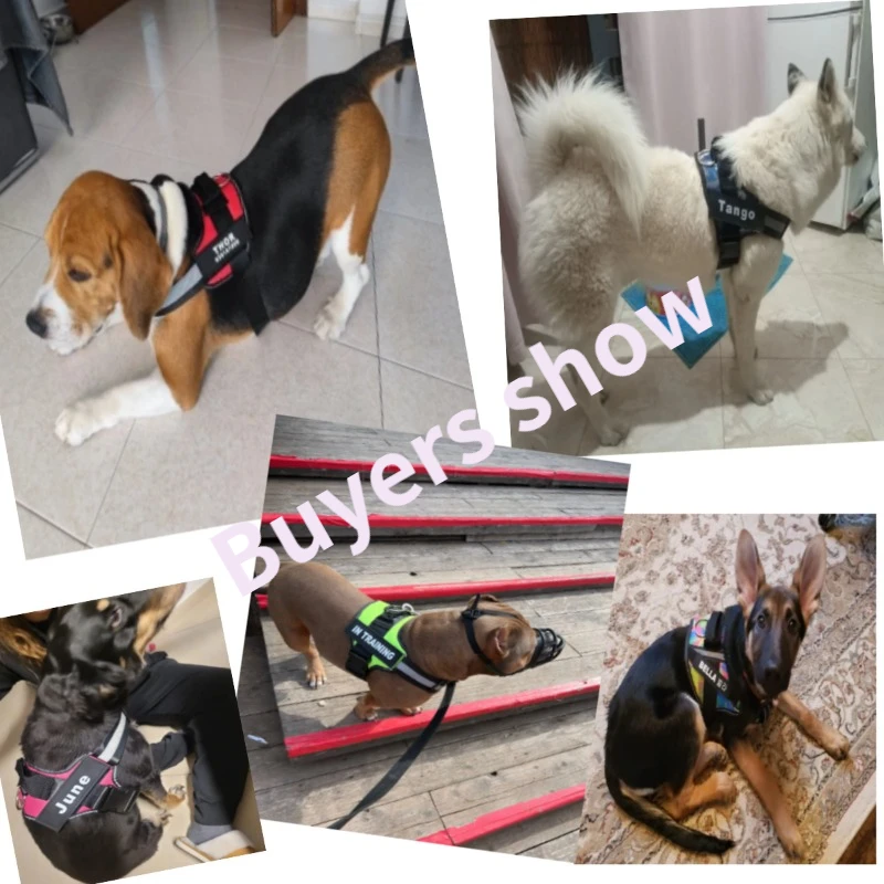 Coleira Peitoral para Cães Ajustável com Faixa Refletiva - Imagem 4