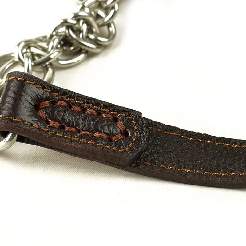 Benepaw Martingale para Cães de Couro com Corrente de Aço Inoxidável - Imagem 6