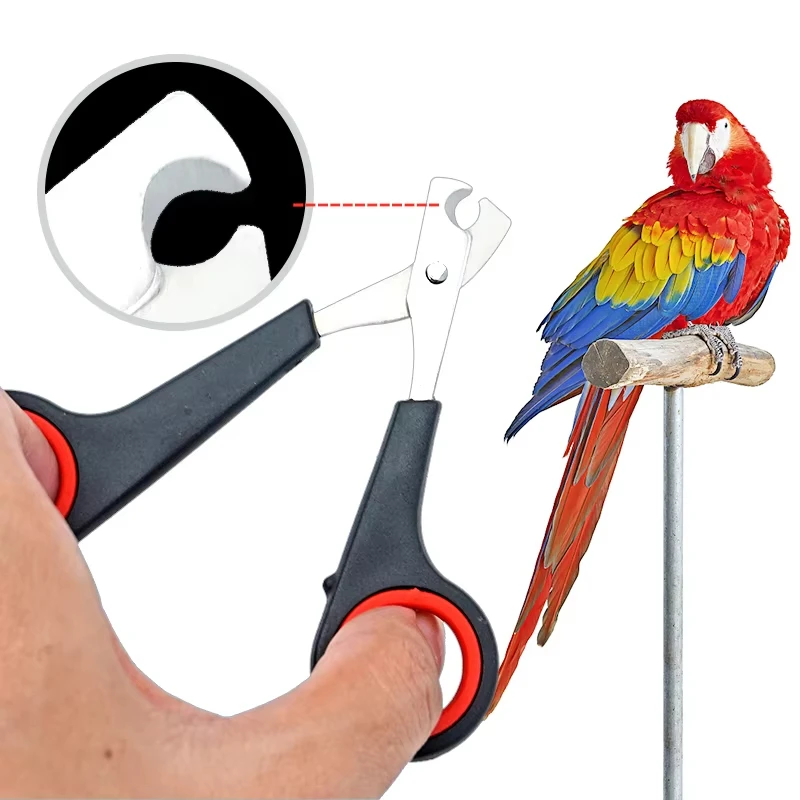 Cortador de Unhas para Pets de Aço Inoxidável 12 cm - Imagem 2