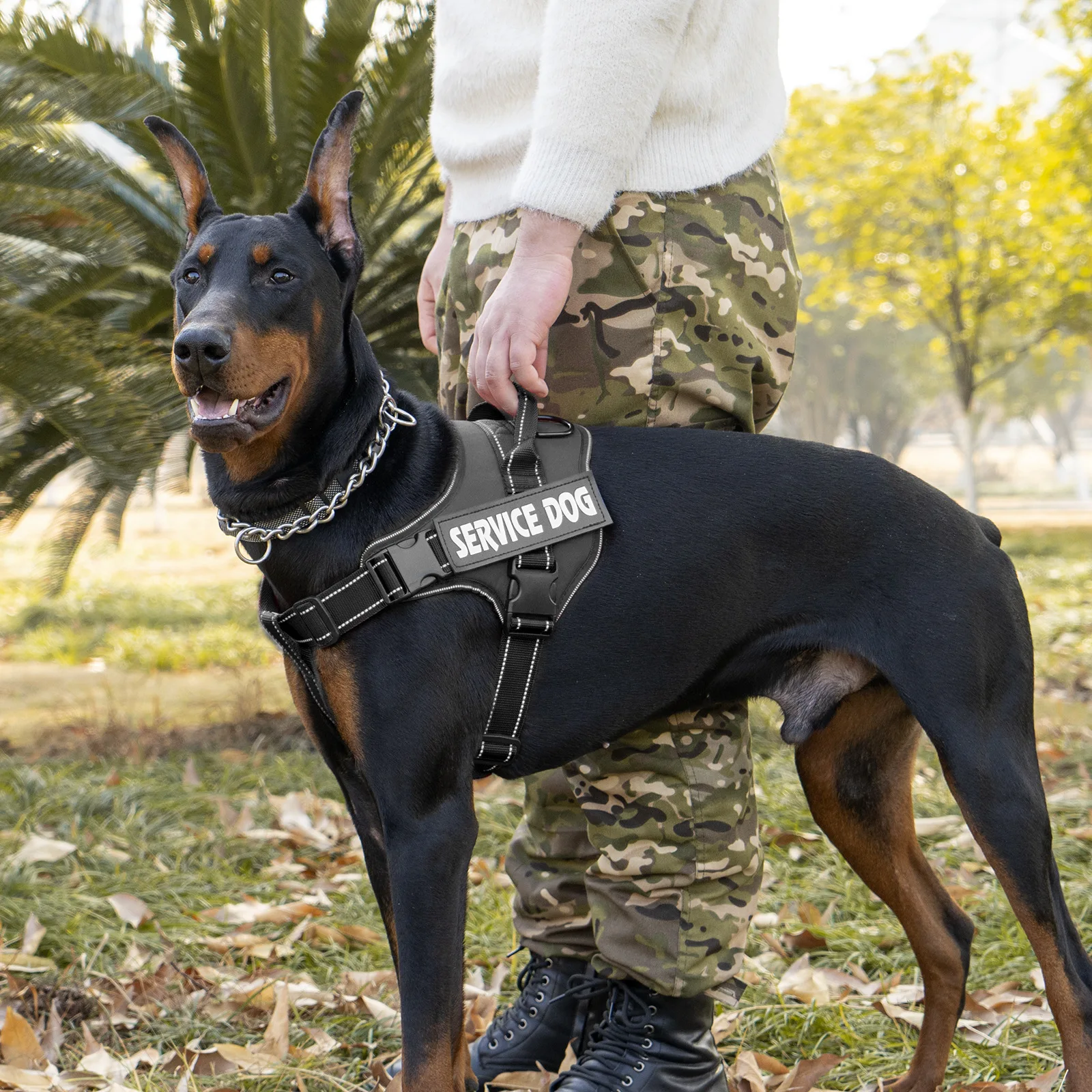 Coleira Ajustável para Cães com Nome e Telefone Personalizáveis - Imagem 3
