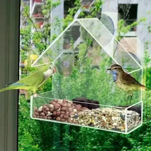 alimentador de pássaros acrílico com ventosas