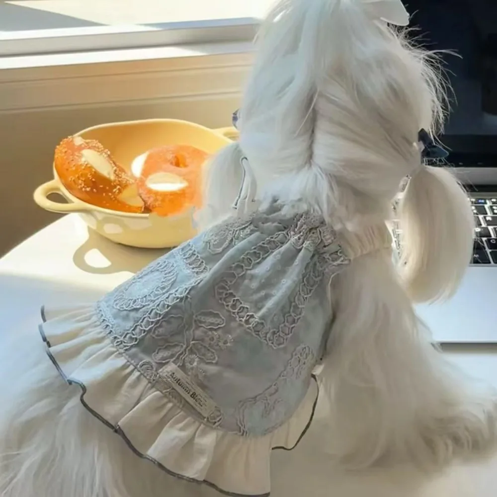 vestido de princesa para cães