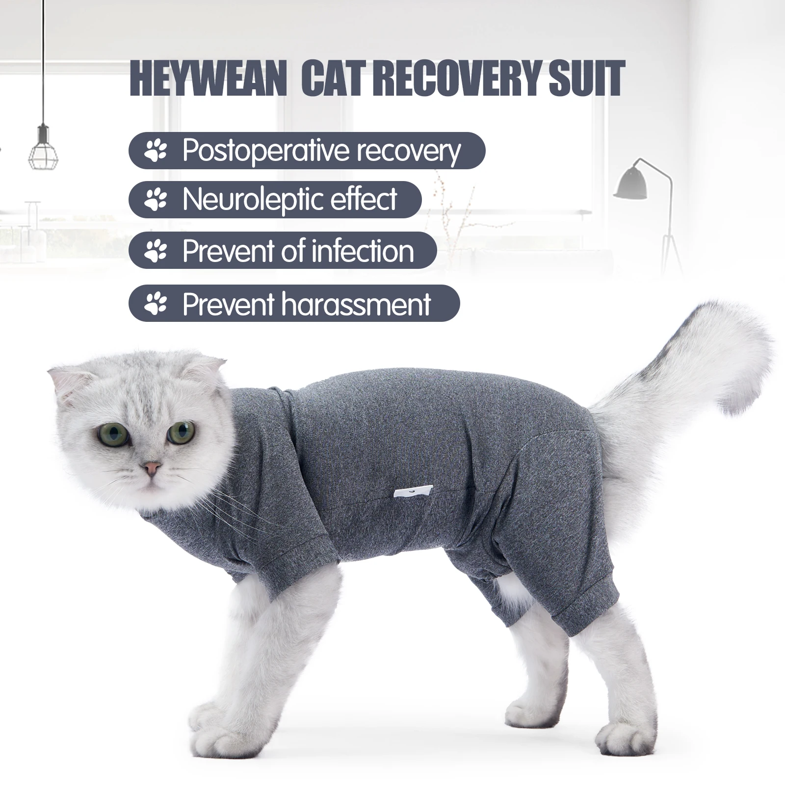 roupa de recuperação para gatos pós-cirúrgica