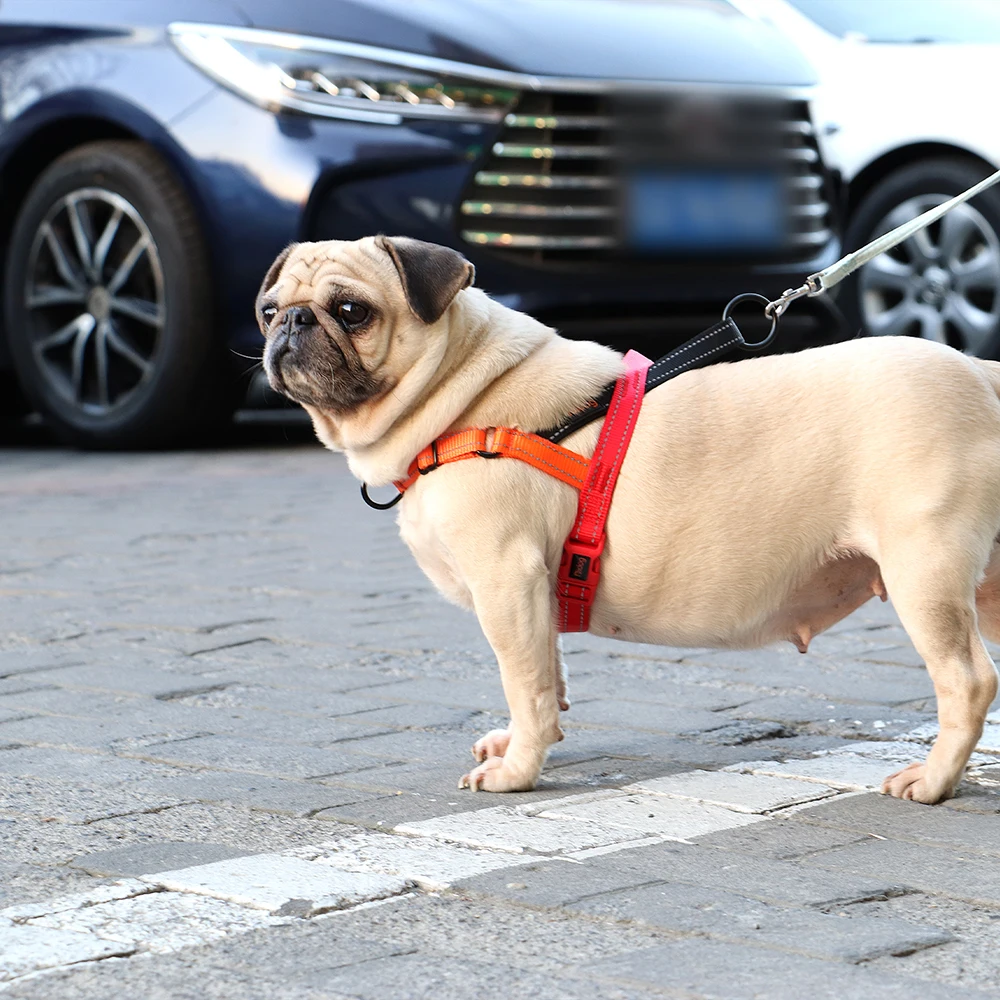 Peitoral para Cães Ajustável de Nylon Refletivo Sem Puxar - Imagem 5