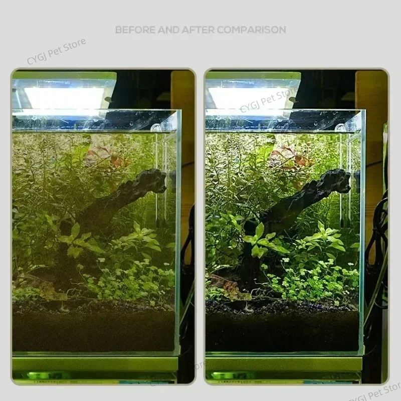 Raspador de Algas para Aquário com Lâmina Dupla Função - Imagem 3