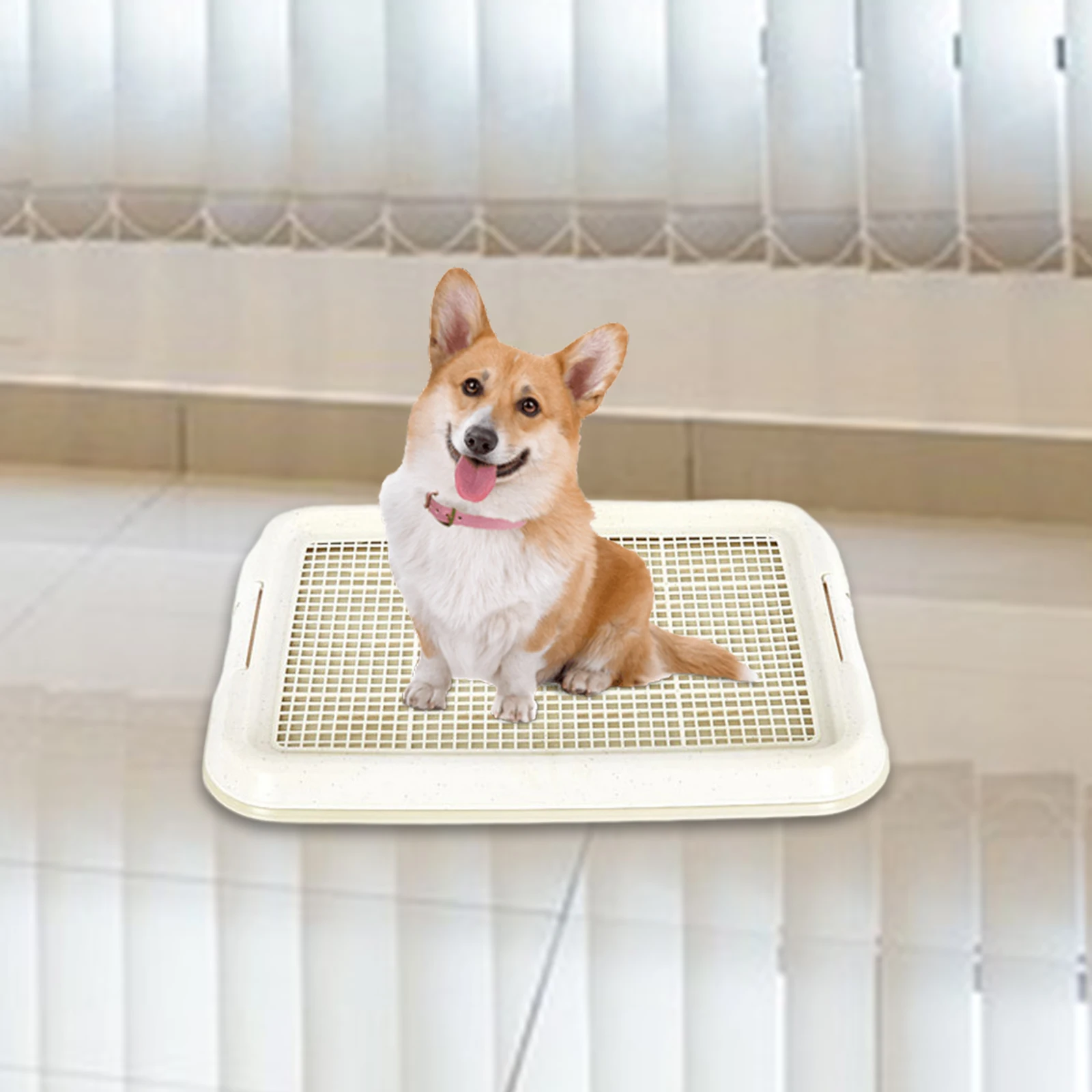 Bandeja Sanitária para Cães Pequenos e Gatos 47x35 cm Antiderrapante - Imagem 3