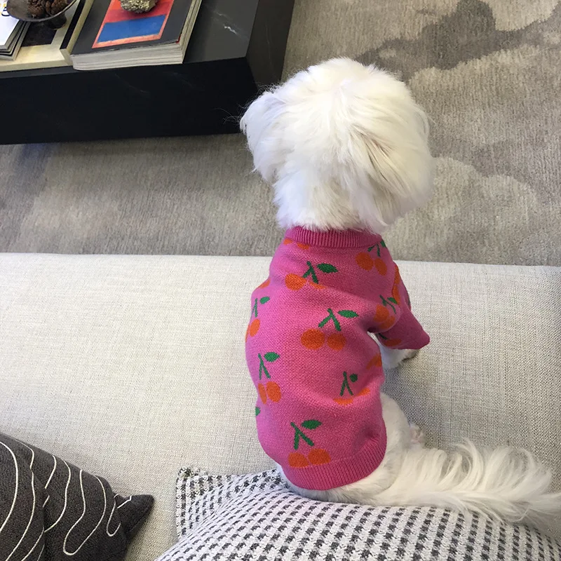 Suéter para Cães Pequenos de Malha com Estampa de Cerejas - Imagem 5