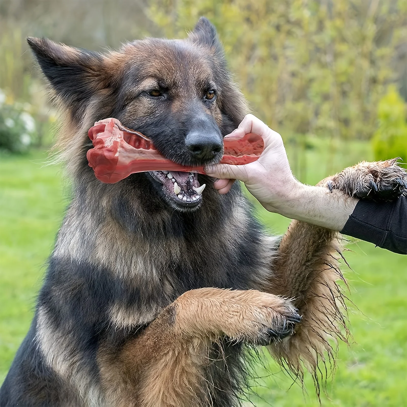 Brinquedo de Silicone para Cães com Mordida Forte Interativo - Image 2