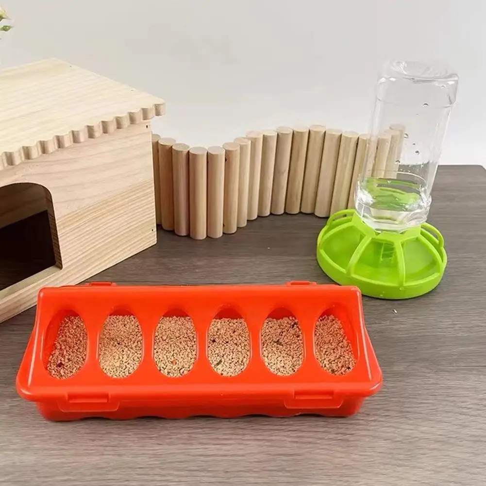 Bebedouro Rudin para Aves e Pintinhos de Plástico com Borda Lisa - Imagem 5