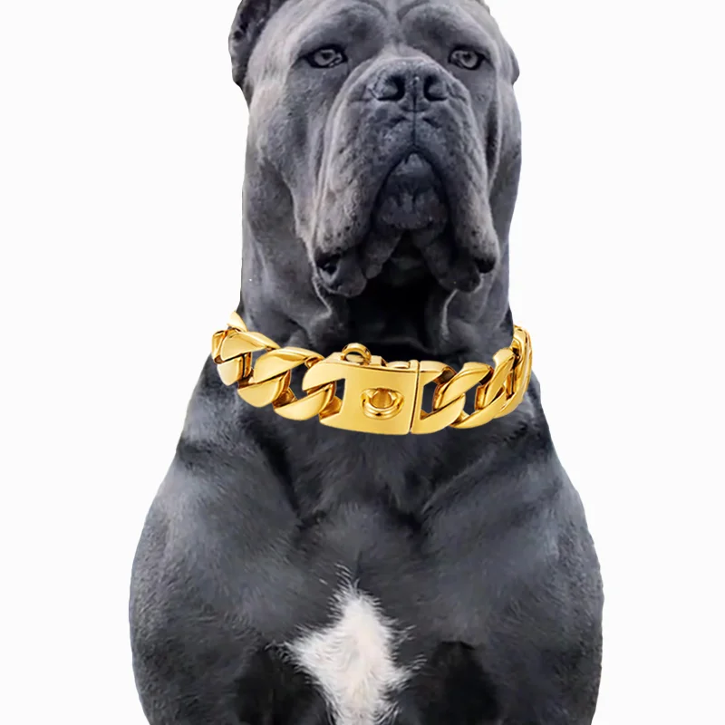Coleira Choker para Cães de Metal 32mm em Aço Inoxidável - Image 2
