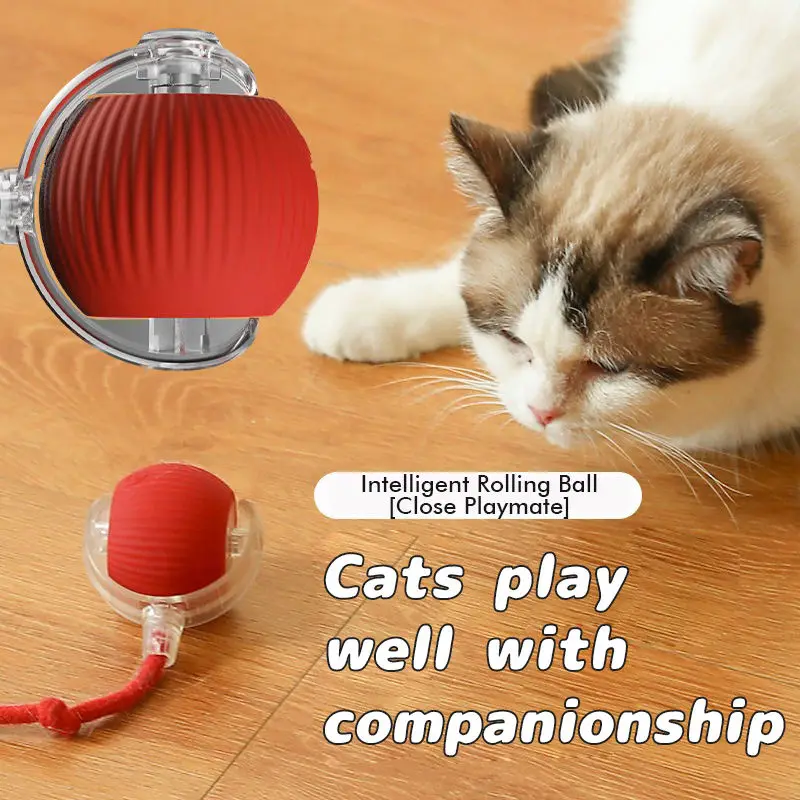Brinquedo Interativo para Gatos Elétrico Recarregável com Bola - Image 3