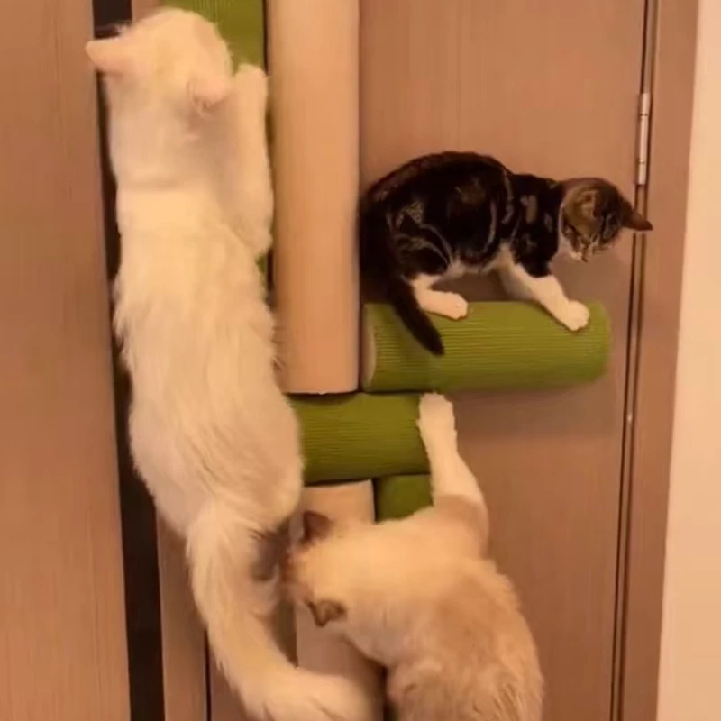 Arranhador Adesivo para Gatos, Resistente ao Desgaste - Imagem 3