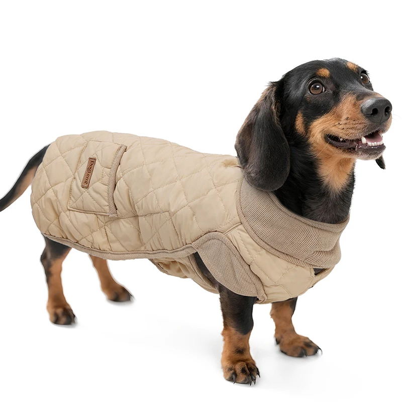 Jaqueta para Cães Dachshund Acolchoada Repelente à Água - Imagem 5