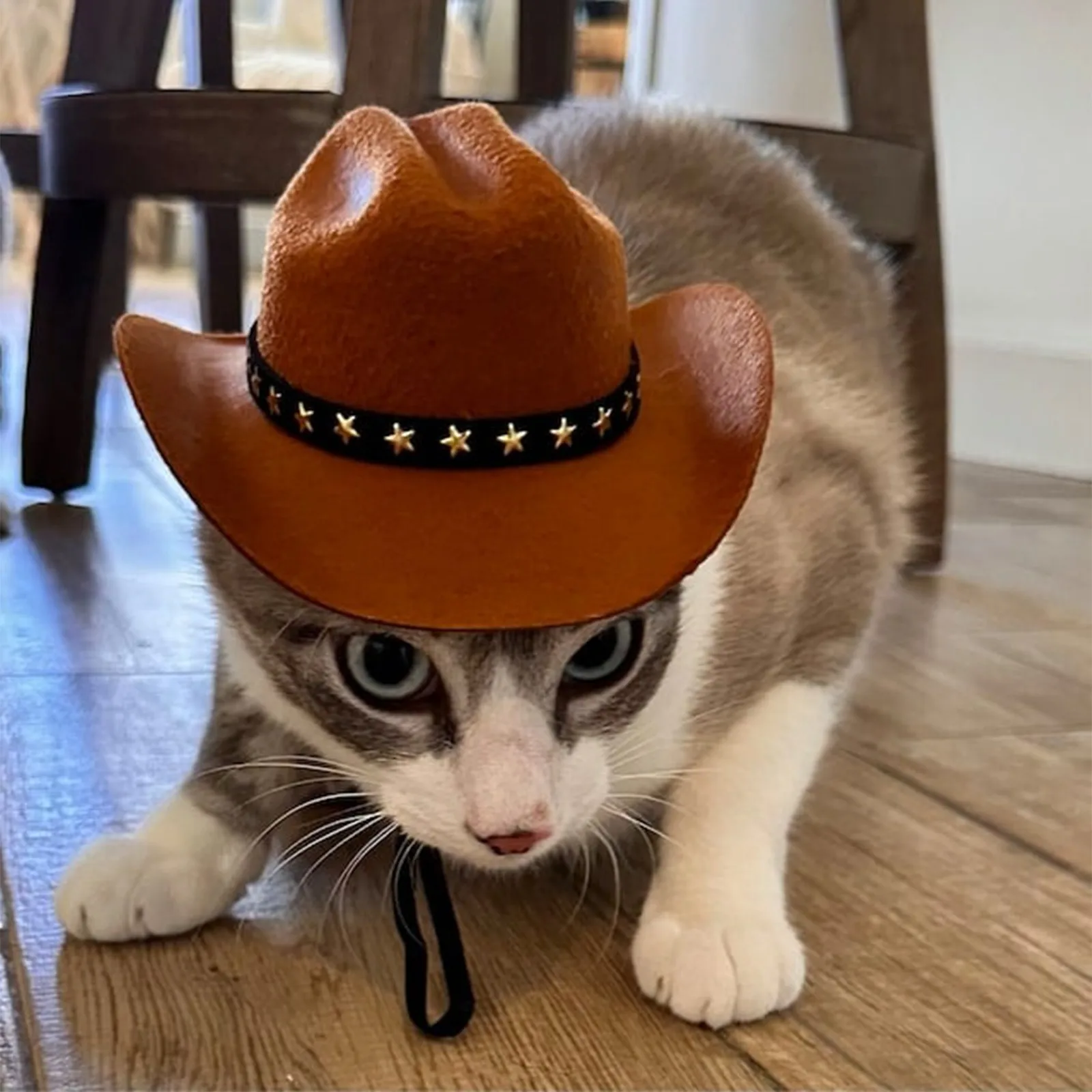 Chapéu Cowboy para Cães e Gatos Ajustável com Elástico - Imagem 2