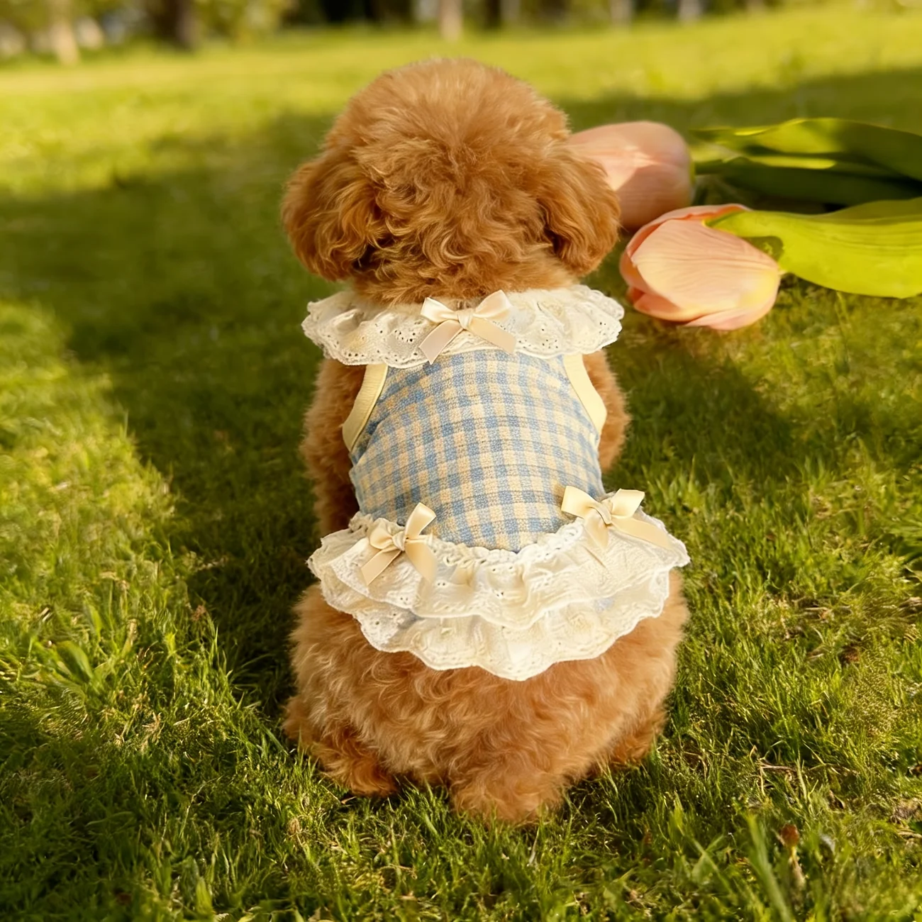 Vestido Xadrez para Cães e Gatos Pequenos com Laço e Babados - Image 6