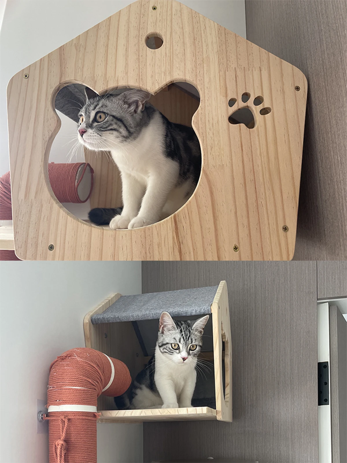 Casa de Parede para Gatos com Prateleira e Cama - Image 4
