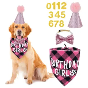kit aniversário para cães médios e grandes