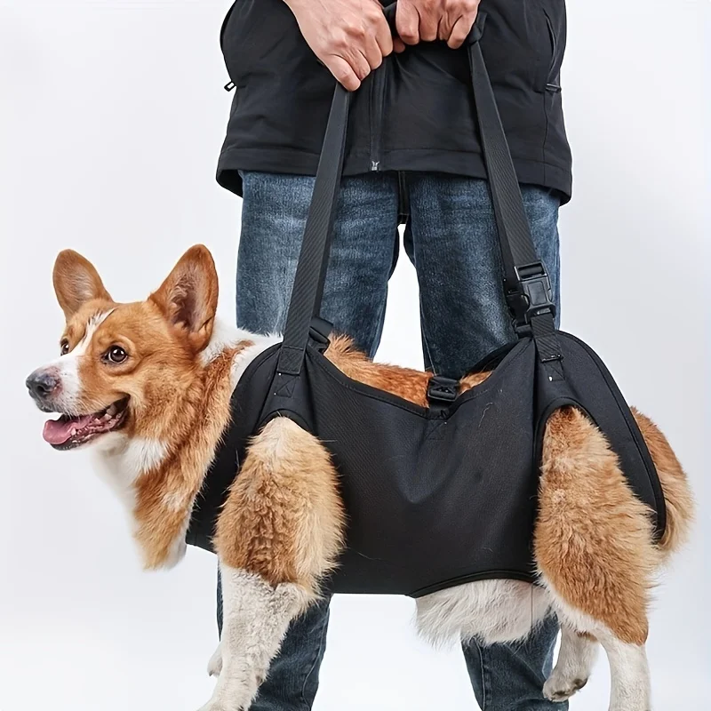 arnês de elevação para cães