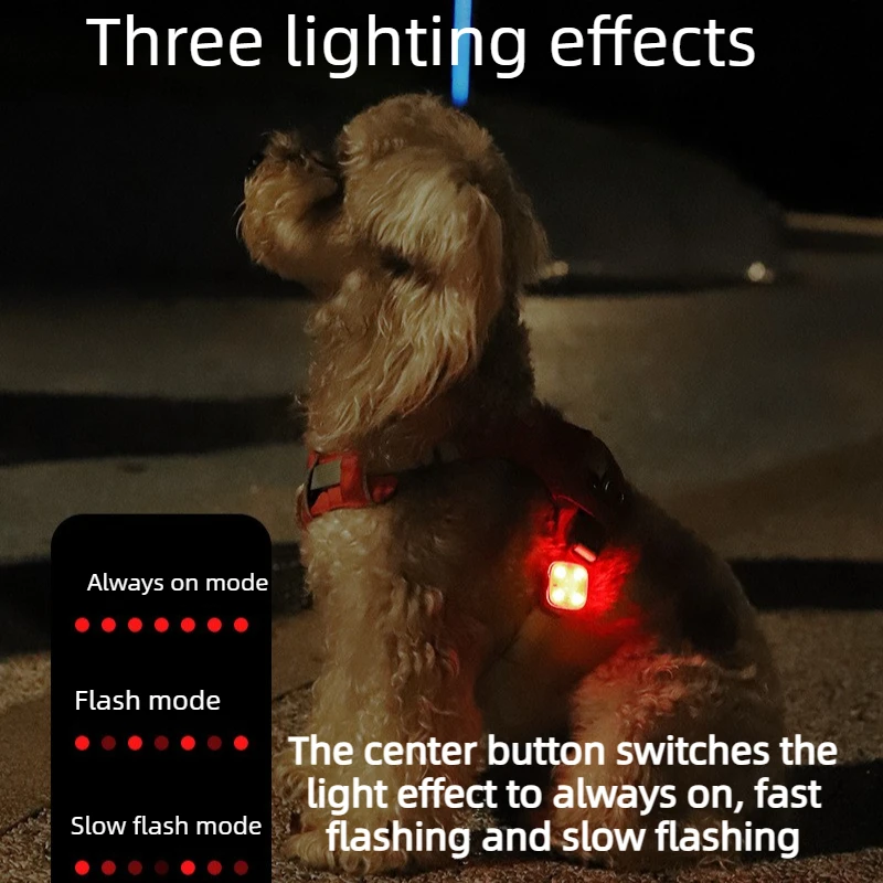 Pingente Luminoso LED para Cães Recarregável USB à Prova d'Água - Imagem 4