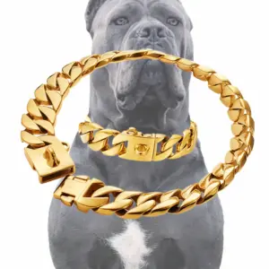 coleira choker de metal para cães