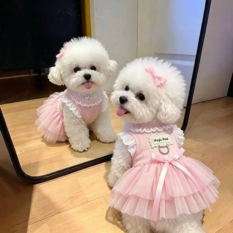 Saia de Tule para Cães de Poliéster Leve para Primavera Verão - Image 3