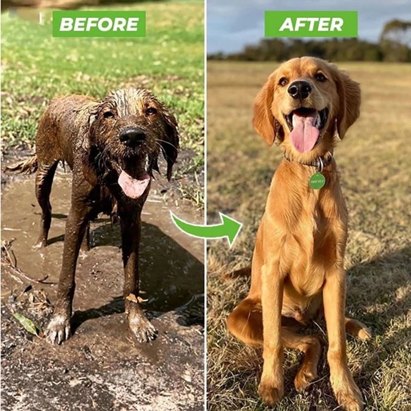 Pistola de Banho para Pets com Mangueira e Bico Ajustável 3 Modos - Imagem 6