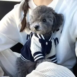 jaqueta de beisebol para cães pequenos