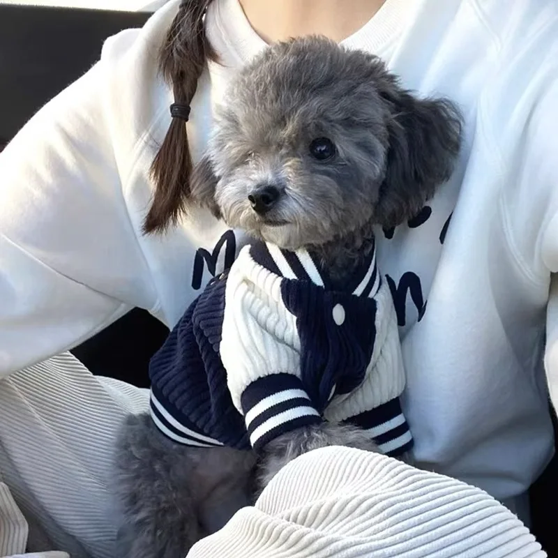 jaqueta de beisebol para cães pequenos