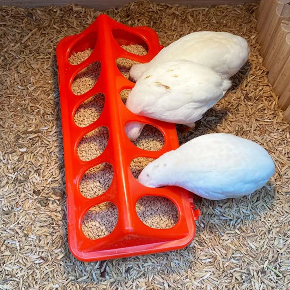 Bebedouro Rudin para Aves e Pintinhos de Plástico com Borda Lisa - Imagem 3