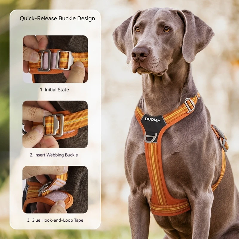 Conjunto Peitoral e Coleira para Cães Refletivo Tamanho M - Imagem 2