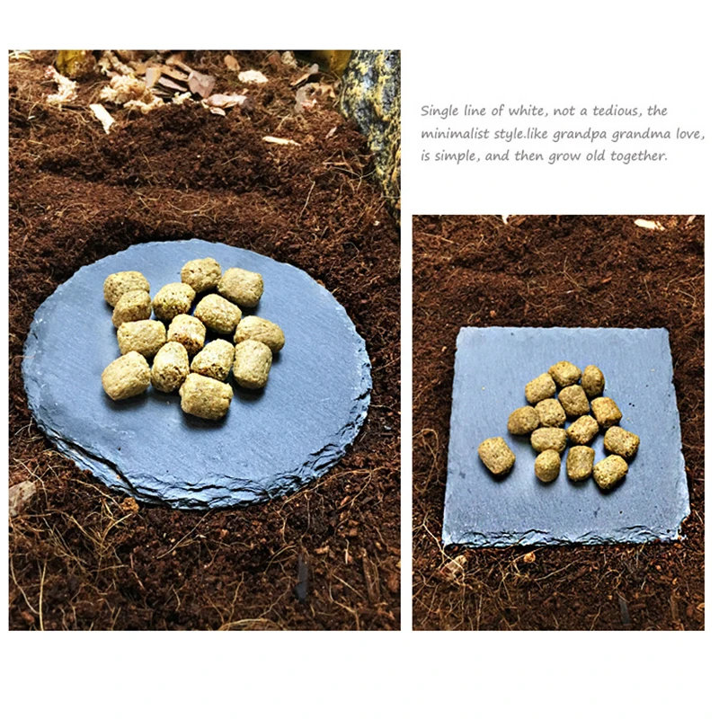 Plataforma de Pedra Natural para Tartarugas e Répteis 12x12 cm - Imagem 2