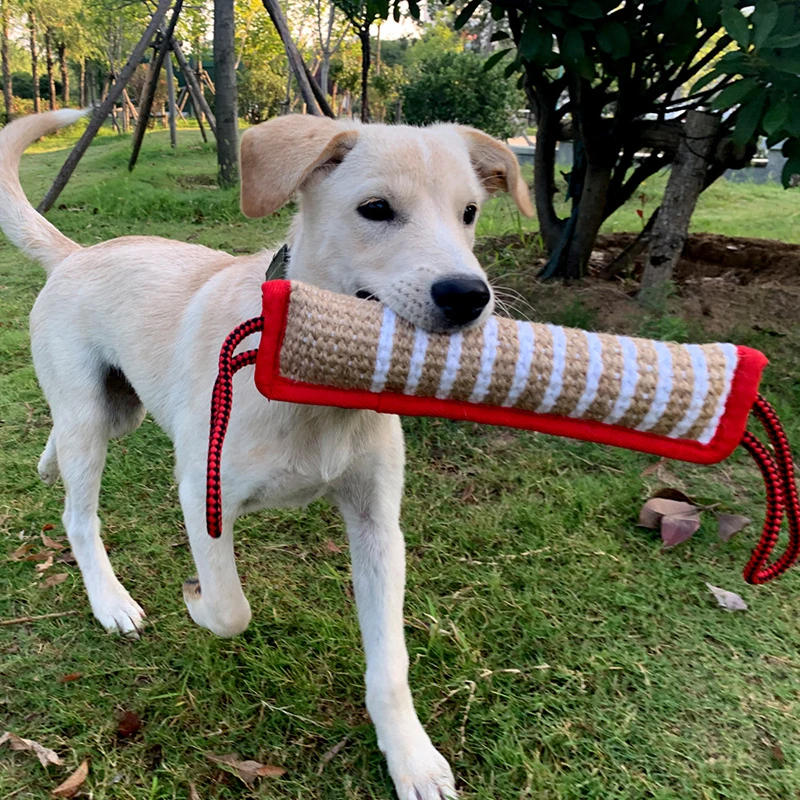 Brinquedo Cabo de Guerra para Cães de Juta 8x32cm com 2 Alças - Image 3