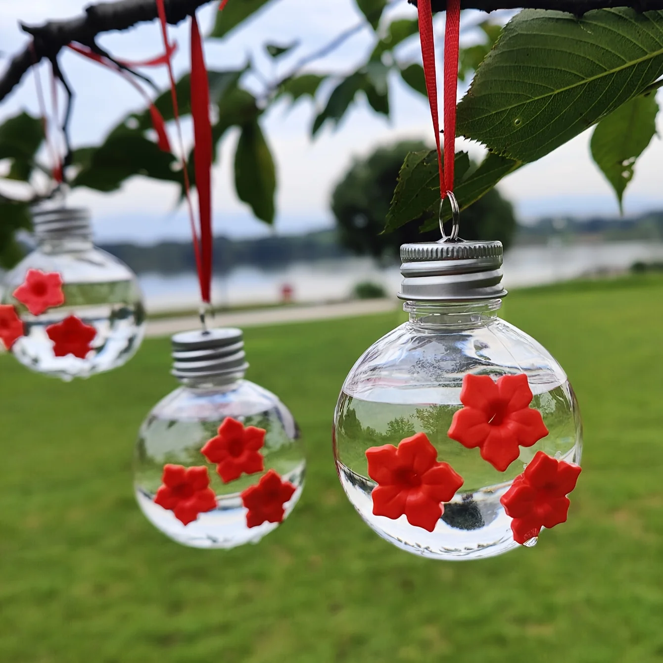 Fonte de Água para Beija-flor Redonda com 3 Furos - Imagem 6