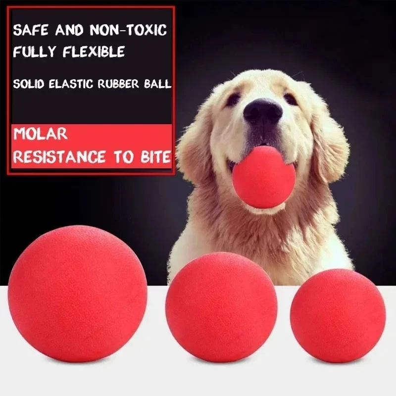 bola de borracha para cães