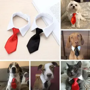 gravata borboleta para cães e gatos