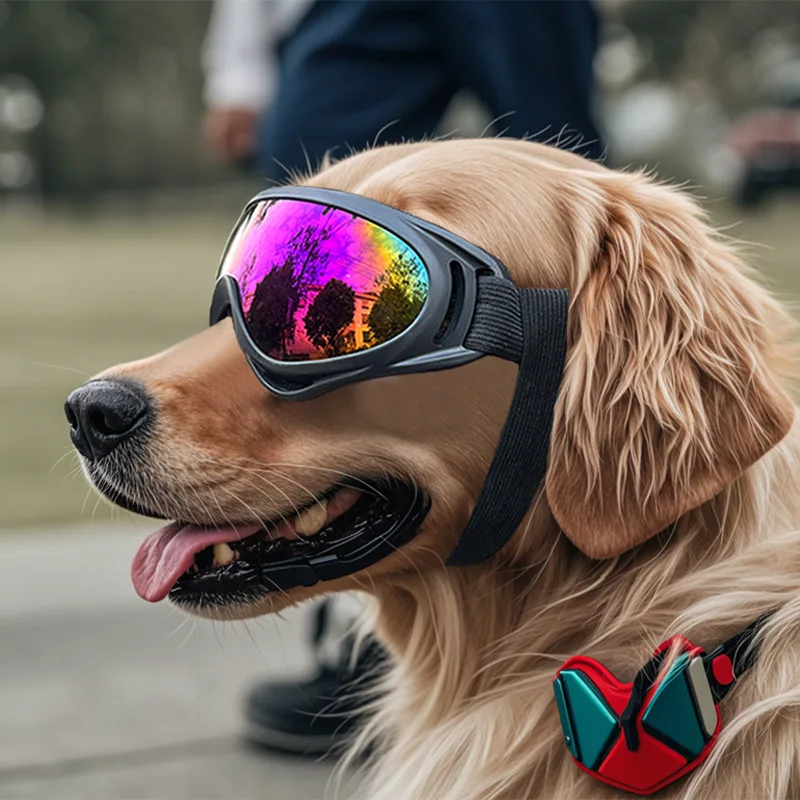 Óculos de Sol para Cães com Lentes Anti-UV e Elástico Ajustável - Imagem 5