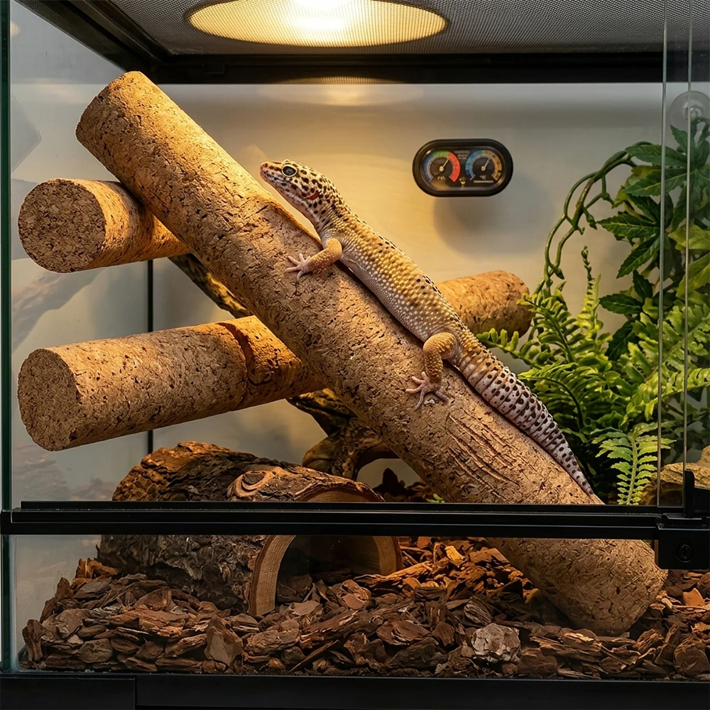 Galho de Cortiça para Répteis DIY para Terrário - Imagem 6