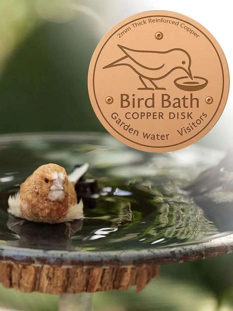 Disco de Cobre para Banho de Pássaros com Base Antiderrapante - Imagem 6