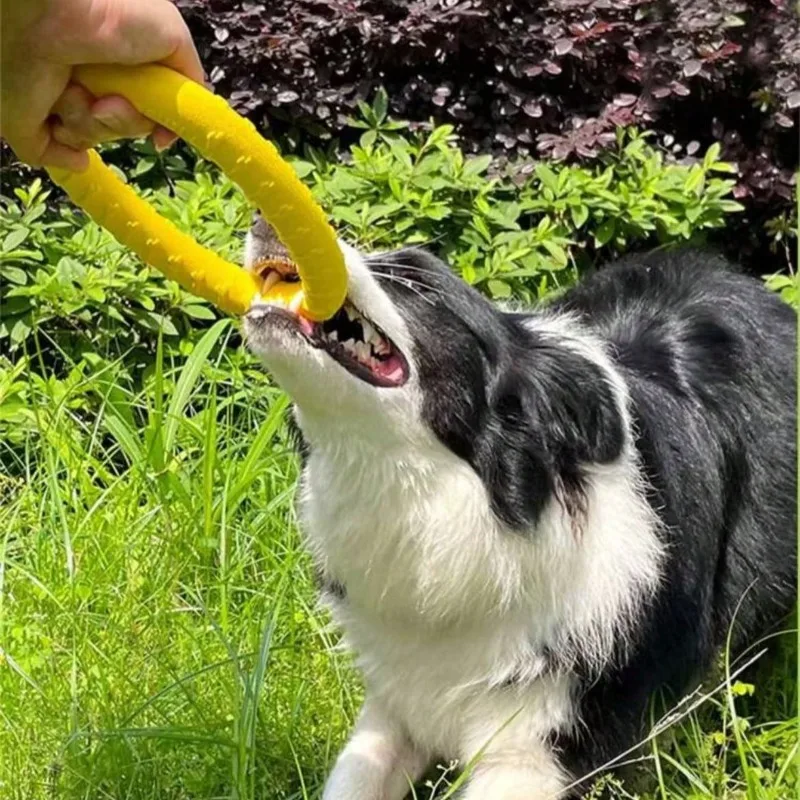 Brinquedo Anel para Cães Pequenos e Médios Flutuante - Imagem 3