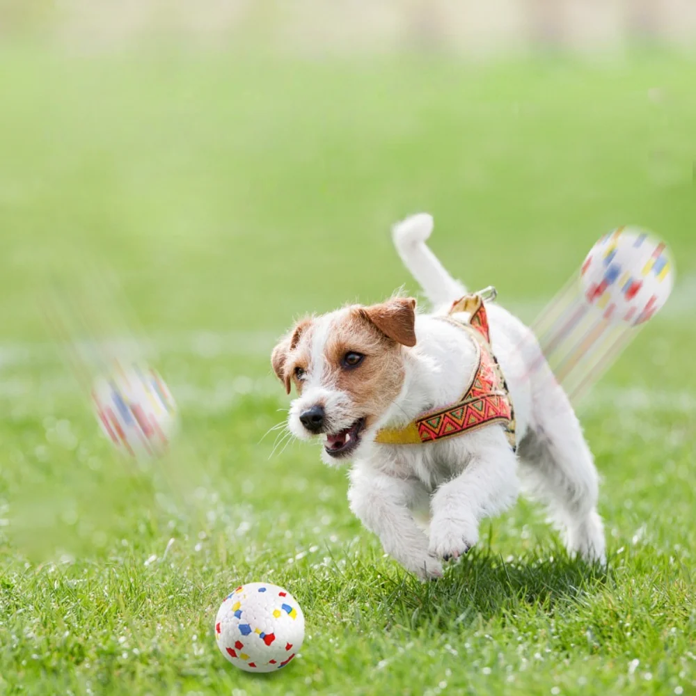Bola EPTU para Cães de Porte Médio Resistente a Mordidas - Imagem 2