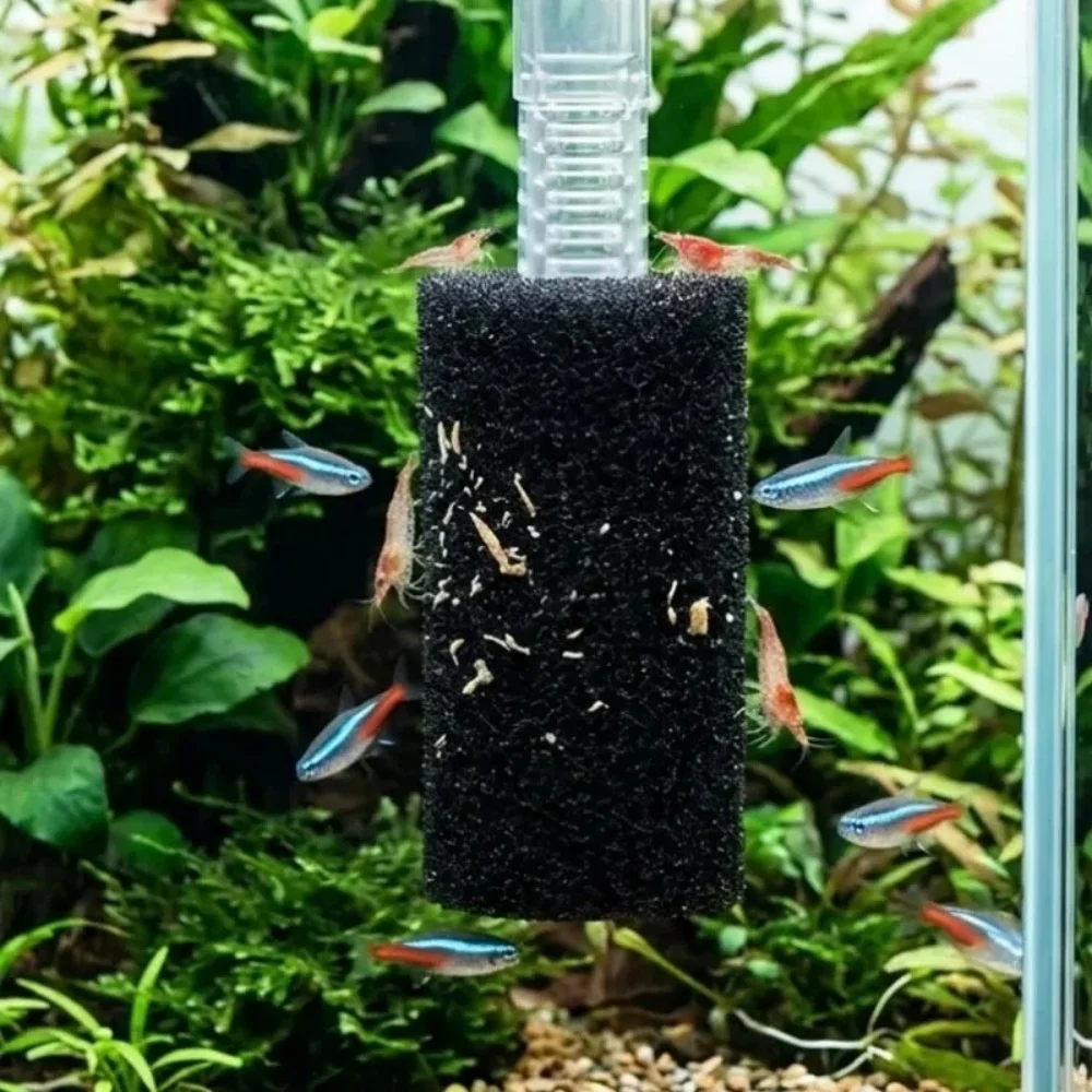 Kit 5 Esponjas Filtrantes para Aquário: Pré-filtro para Água Limpa - Imagem 2
