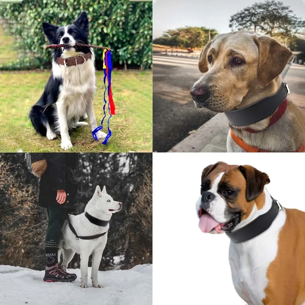 Coleira para Cães Grandes de Couro Microfibra com Fivela de Arame - Image 5